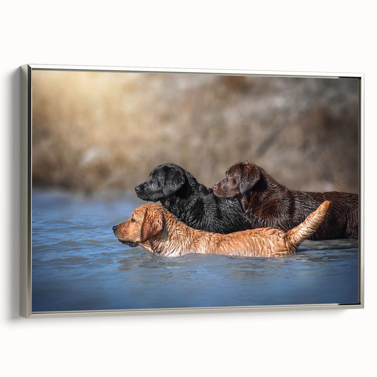 Framed canvas wall art showcasing a serene design of wild dogs in a natural setting, featuring a silver frame that enhances the artwork's elegance, suitable for modern decor.