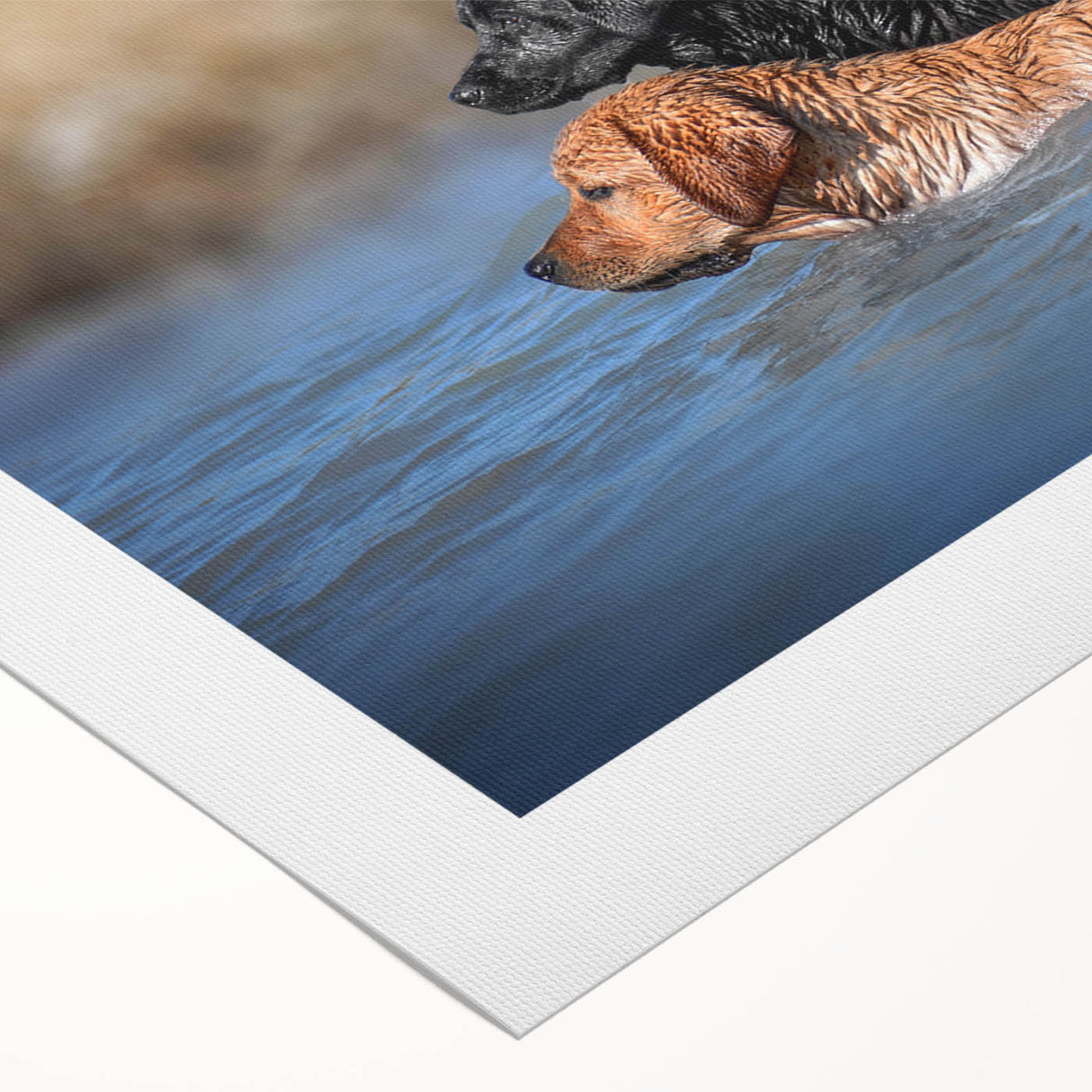 Rolled canvas showcasing a vibrant dog-themed wall art design featuring various breeds in playful poses, ideal for pet lovers' home decor.