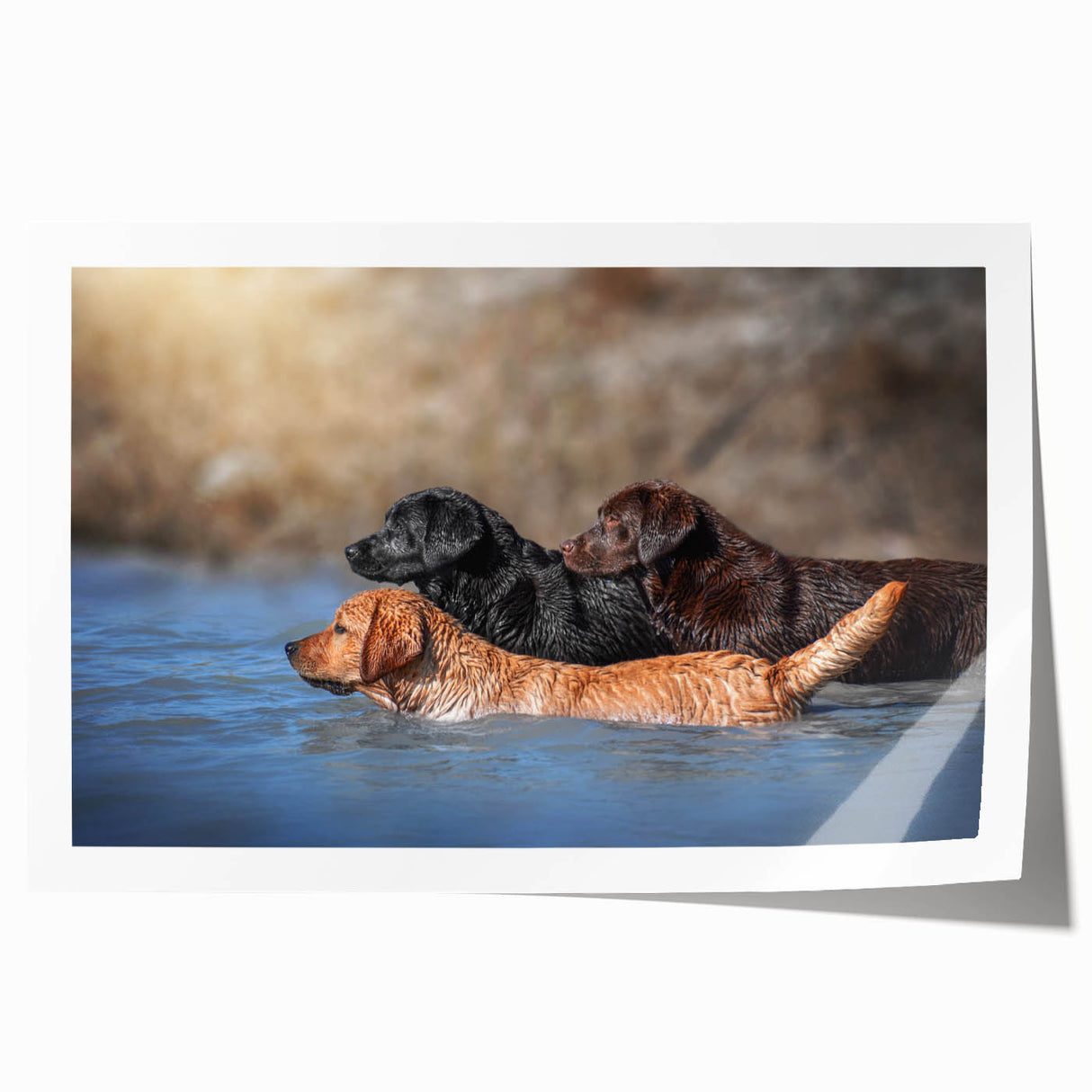 Colorful wall art print featuring a playful design of various dog breeds in a vibrant, whimsical style, ideal for pet lovers and home decor enthusiasts.