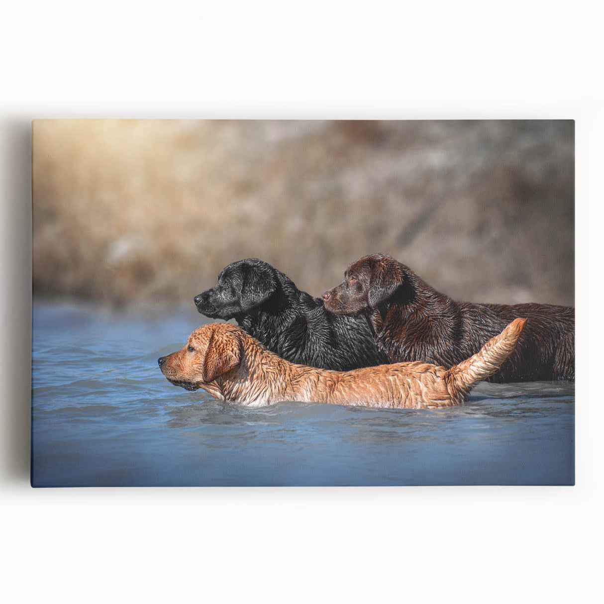 Stretched canvas wall art featuring a vibrant dog design, showcasing various breeds in an artistic, colorful collage. Perfect for pet lovers and home decor.