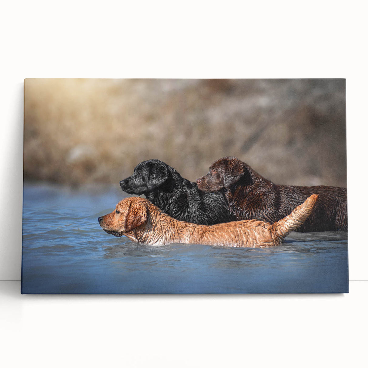 Stretched canvas wall art showcasing a vibrant design of playful dogs in a wild setting, perfect for animal lovers and home decor enthusiasts.