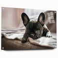 Acrylic wall art showcasing a vibrant design featuring playful dogs in a wild setting, mounted with pins for easy display, perfect for animal lovers and home decor.