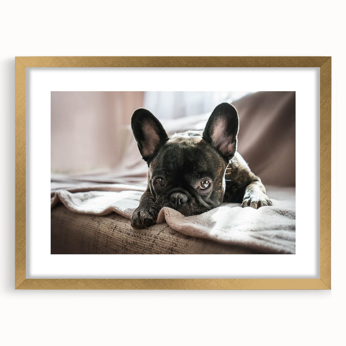 Gold-framed wall art collection showcasing a vibrant design of wild dogs in a natural setting, complete with matting for an elegant presentation, perfect for animal lovers.