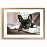 Gold-framed wall art collection showcasing a vibrant design of wild dogs in a natural setting, complete with matting for an elegant presentation, perfect for animal lovers.