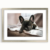 Framed wall art collection featuring a sleek silver border, showcasing various dog designs in a vibrant, artistic style. Ideal for pet lovers seeking trendy home decor.