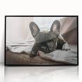 Framed acrylic wall art showcasing a vibrant dogs design, featuring a black frame and a sleek front view, perfect for animal lovers and home decor enthusiasts.