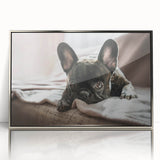Framed acrylic wall art collection depicting a vibrant design of various dog breeds, showcasing a silver frame and detailed animal illustrations, perfect for pet lovers.