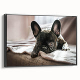 Framed canvas wall art showcasing a vibrant dog design from the "Animals: A Wild Life" collection, featuring a black frame, ideal for pet lovers and home decor enthusiasts.