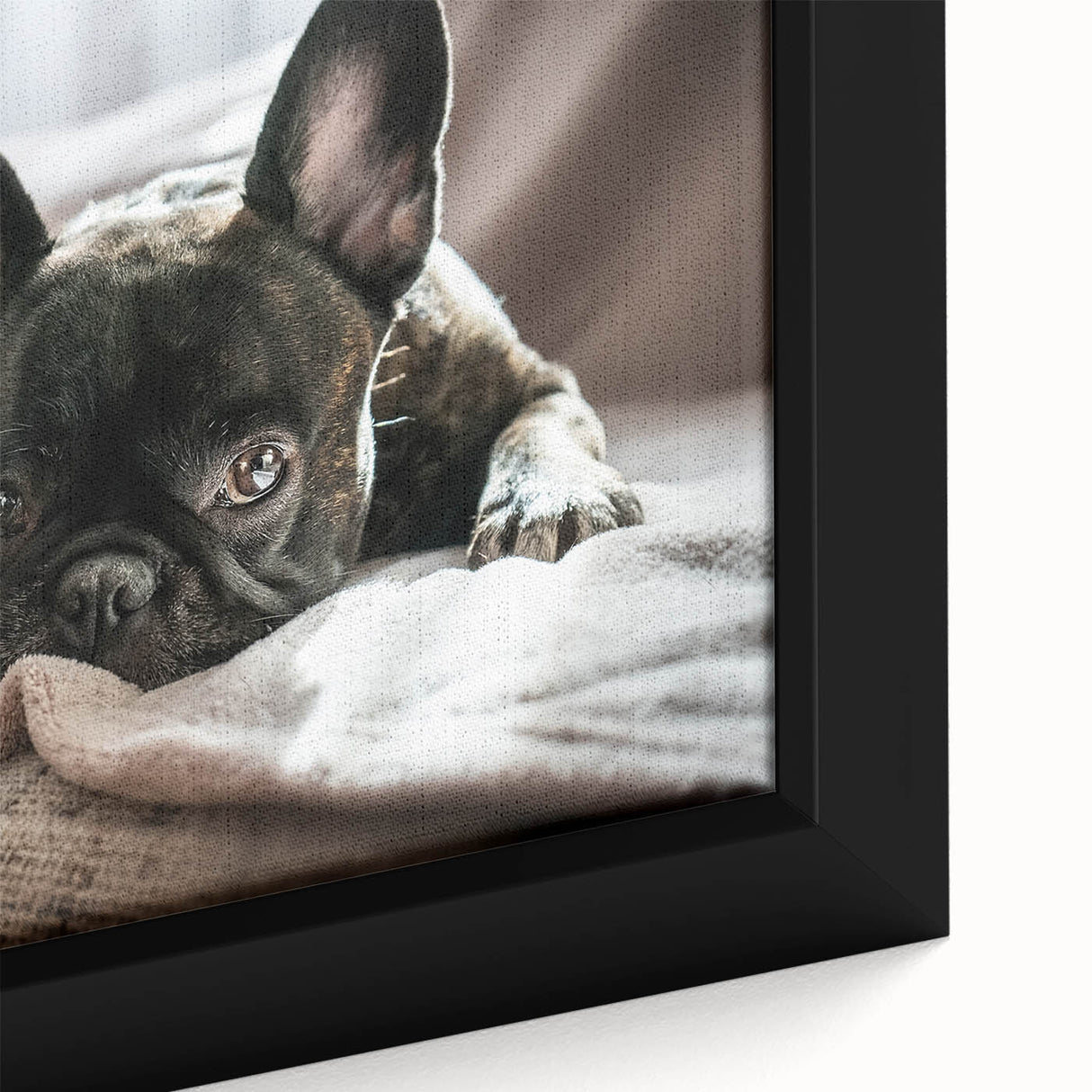 Framed canvas wall art showcasing a close-up of a playful dog in a wild setting, featuring vibrant colors and intricate details that enhance its lively expression. Perfect for animal lovers and home decor enthusiasts looking to add a touch of nature-inspired charm.