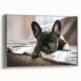 Framed canvas wall art featuring a colorful dog design, showcasing various breeds in a vibrant, playful style against a silver frame, ideal for animal lovers' decor.