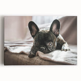 Stretched canvas wall art depicting vibrant dogs in a wild life design, showcasing rich colors and intricate details, perfect for animal lovers' decor.