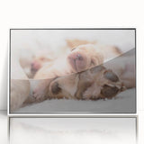 Framed wall art featuring a vibrant collection of wild dog designs, displayed in a sleek white frame, perfect for animal lovers and home décor enthusiasts.