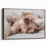 Framed wall art collection showcasing a vibrant dog design in a black frame, highlighting intricate details and colors, perfect for animal lovers' home decor.
