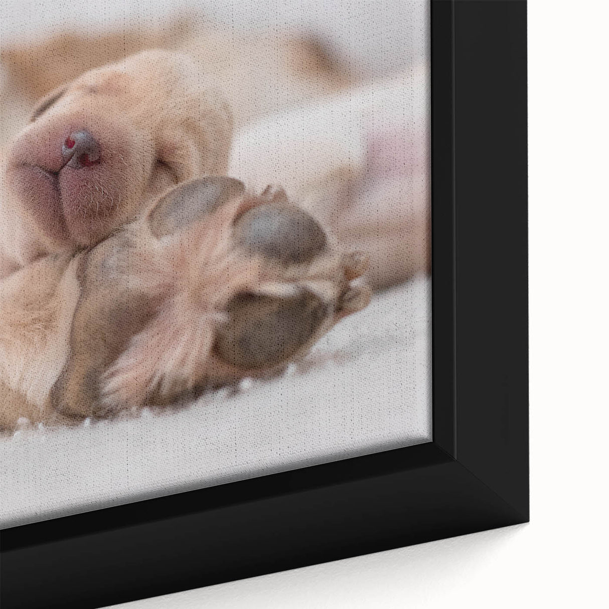 Close-up of a framed canvas wall art featuring vibrant dog illustrations, showcasing various breeds in a playful design, perfect for pet lovers' home decor.