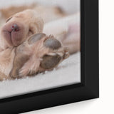 Close-up of a framed canvas wall art featuring vibrant dog illustrations, showcasing various breeds in a playful design, perfect for pet lovers' home decor.