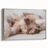 Framed canvas wall art featuring a vibrant design of dogs in a wild-life theme, showcased with a sleek silver frame, ideal for animal lovers and home decor enthusiasts.