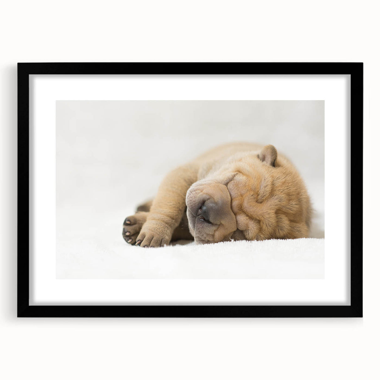 Framed wall art featuring a whimsical dog design from the "A Wild Life" collection, set against a black frame, ideal for animal lovers and home decor enthusiasts.