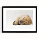 Framed wall art featuring a whimsical dog design from the "A Wild Life" collection, set against a black frame, ideal for animal lovers and home decor enthusiasts.