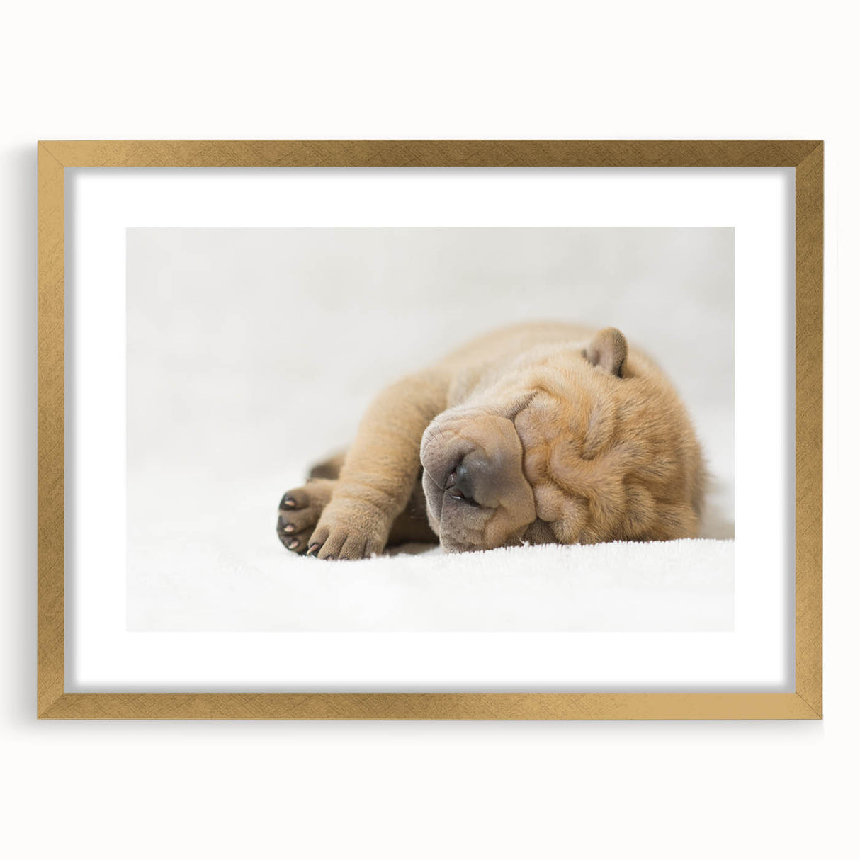 Framed wall art showcasing a vibrant dog design from the "Animals A Wild Life" collection, featuring a gold frame and mat, perfect for home decor.