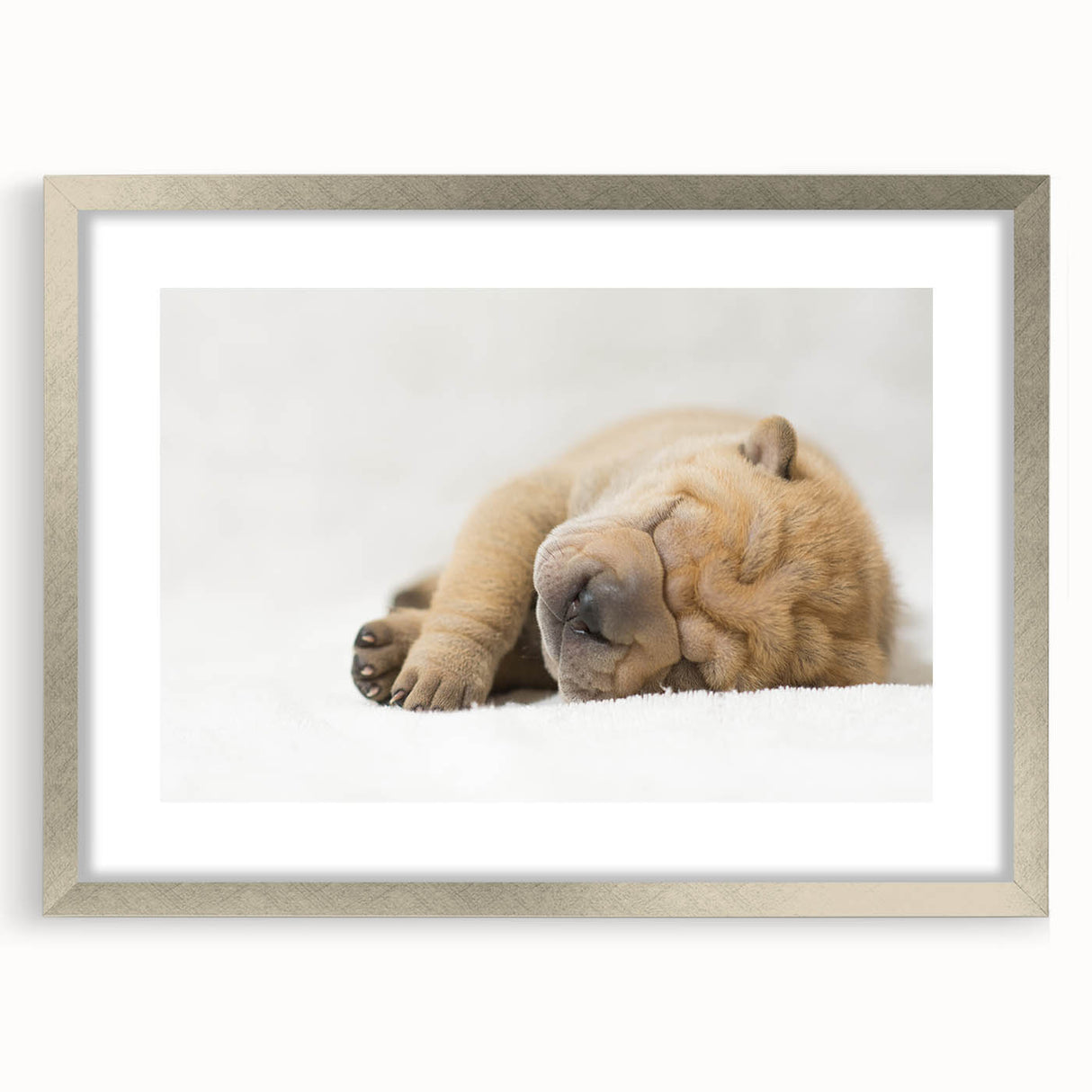 Framed wall art showcasing a vibrant design of various wild dogs, featuring a sleek silver frame and mat, perfect for animal lovers and home decor enthusiasts.