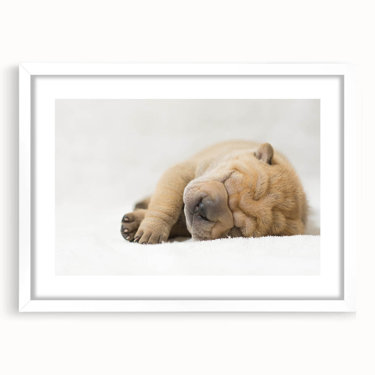Framed wall art featuring a vibrant dog design from the "Animals A Wild Life" collection, set against a sleek white mat, perfect for home decor.