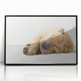 Framed wall art showcasing a vibrant dogs design from the 'A Wild Life' collection, featuring a sleek black frame and acrylic front, perfect for animal lovers' decor.