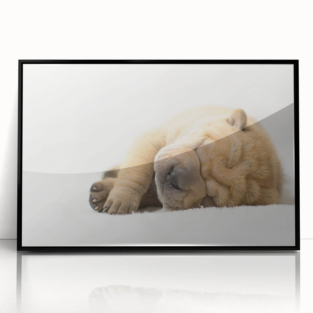 Framed wall art showcasing a vibrant dogs design from the 'A Wild Life' collection, featuring a sleek black frame and acrylic front, perfect for animal lovers' decor.