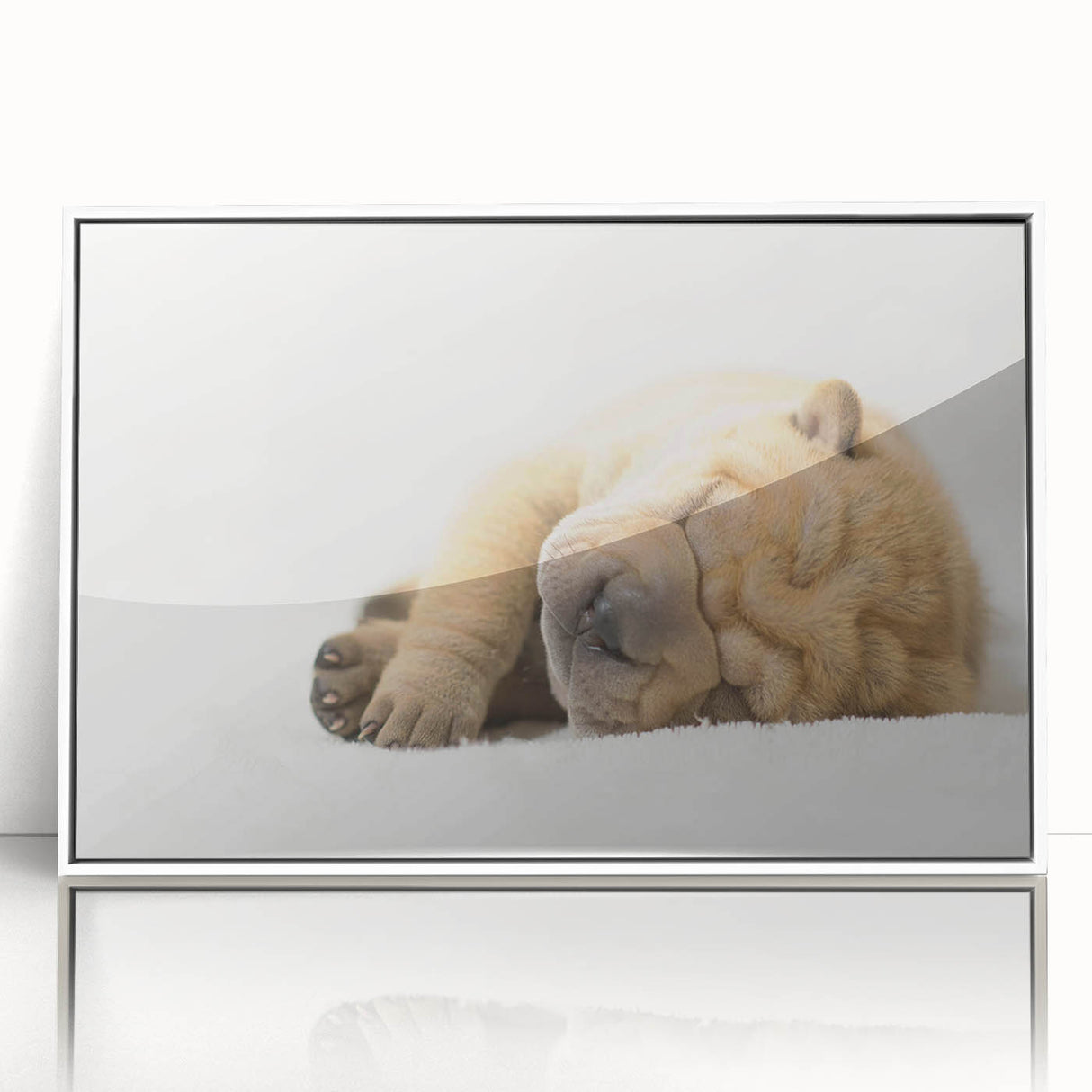 Framed wall art featuring a vibrant design of various dog breeds in a wild-life theme, showcasing bold colors and intricate details, perfect for pet lovers' decor.
