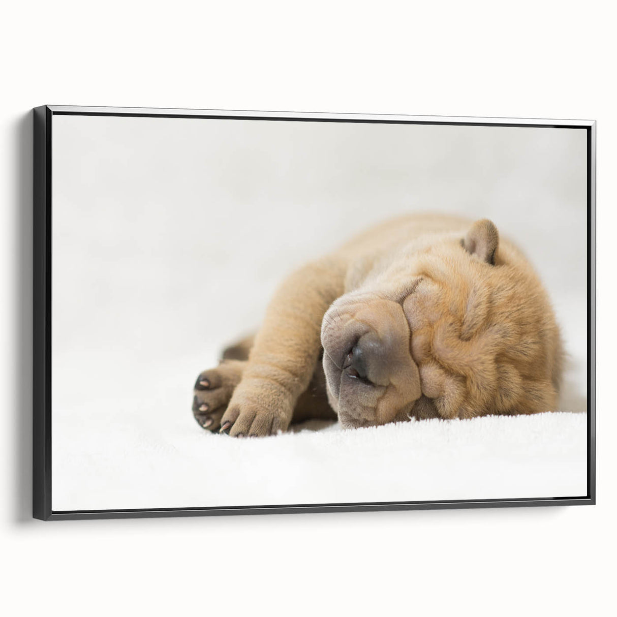 Framed canvas wall art featuring a black and white design of various dog breeds in a wild life theme, showcased from a side view, ideal for pet lovers and home decor.
