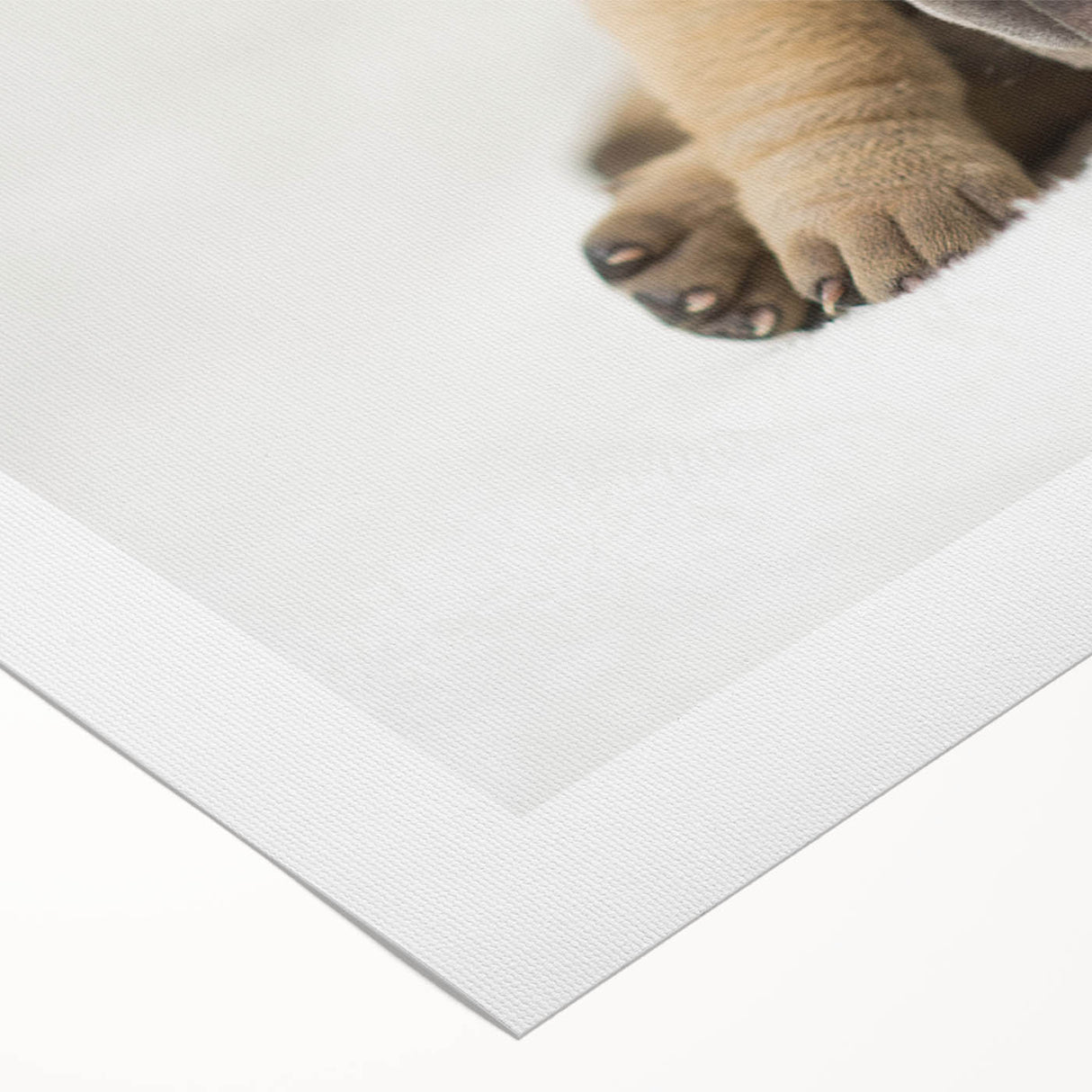Rolled canvas featuring a vibrant dog-themed wall art design, showcasing various breeds in a colorful, artistic style, perfect for pet lovers' home decor.