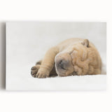 Colorful stretched canvas wall art depicting a lively dog design, showcasing playful expressions and vibrant colors, perfect for animal lovers and home decor.