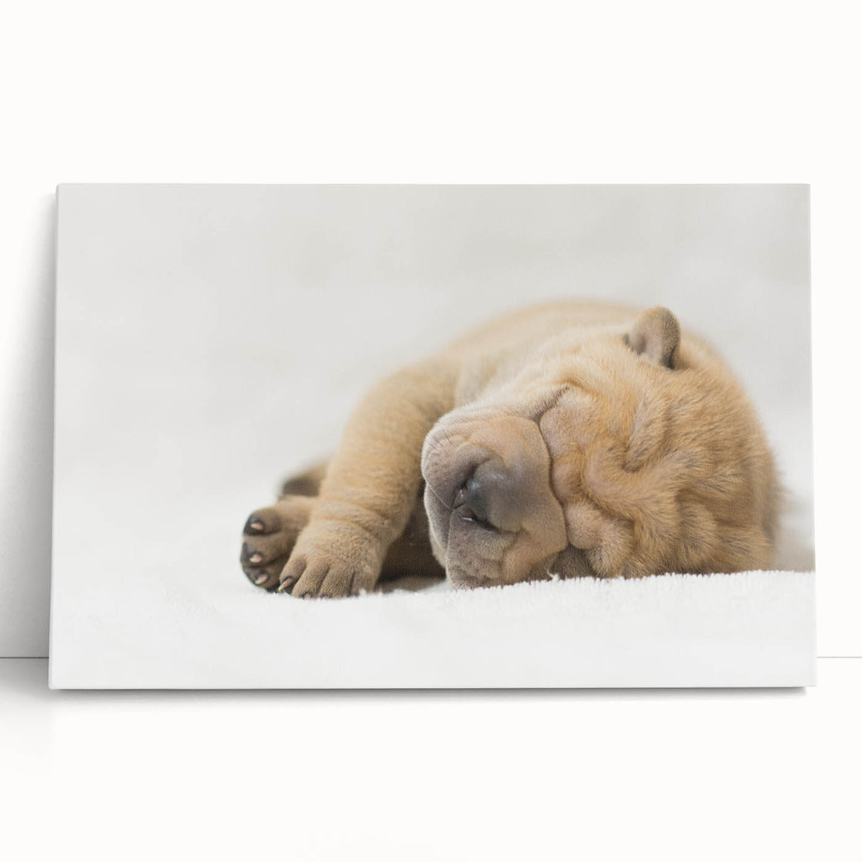 Stretched canvas wall art featuring a colorful design of playful dogs in various poses, ideal for pet lovers, bringing a vibrant and joyful atmosphere to any room.