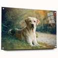 Side view of a vibrant acrylic glass wall art collection showcasing playful dog designs, featuring multiple colorful prints and stylish pins for easy display.