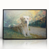 Framed wall art showcasing a vibrant dog design from the 'Animals: A Wild Life' collection, featuring a sleek black frame and acrylic front for a modern touch.