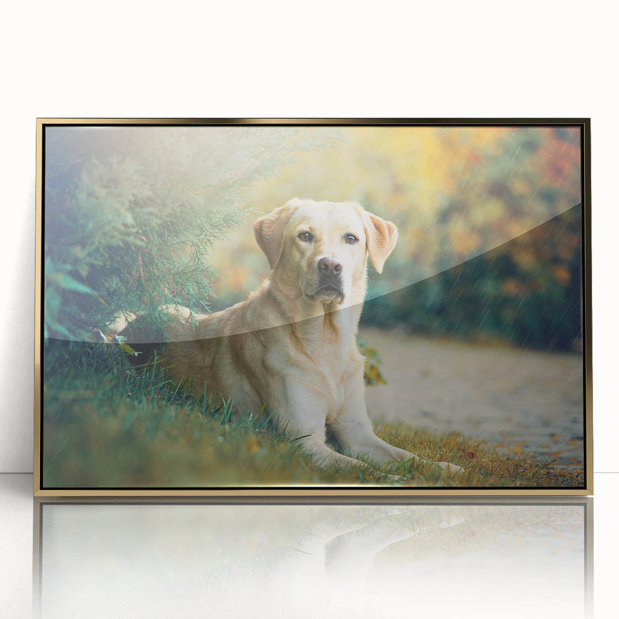 Framed wall art featuring a vibrant gold-accented design of playful dogs in a wild setting, perfect for animal lovers' home decor. Ideal for brightening living spaces.