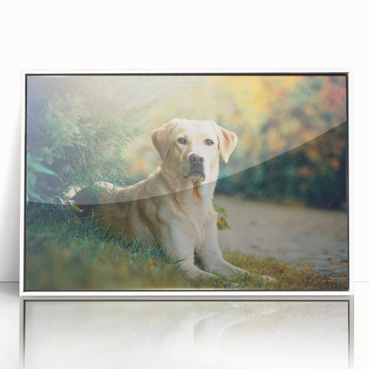 Framed wall art collection showcasing a vibrant design of various dog breeds in a playful, colorful style, set against a sleek white background.