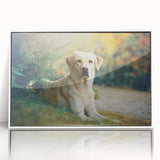 Framed wall art collection showcasing a vibrant design of various dog breeds in a playful, colorful style, set against a sleek white background.
