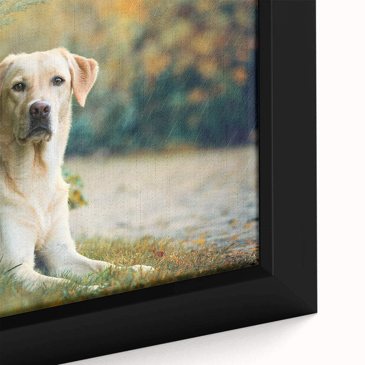 Framed canvas artwork showcasing a close-up of a playful dog design from the "Animals: A Wild Life" collection, featuring vibrant colors and intricate details. Ideal for pet lovers.