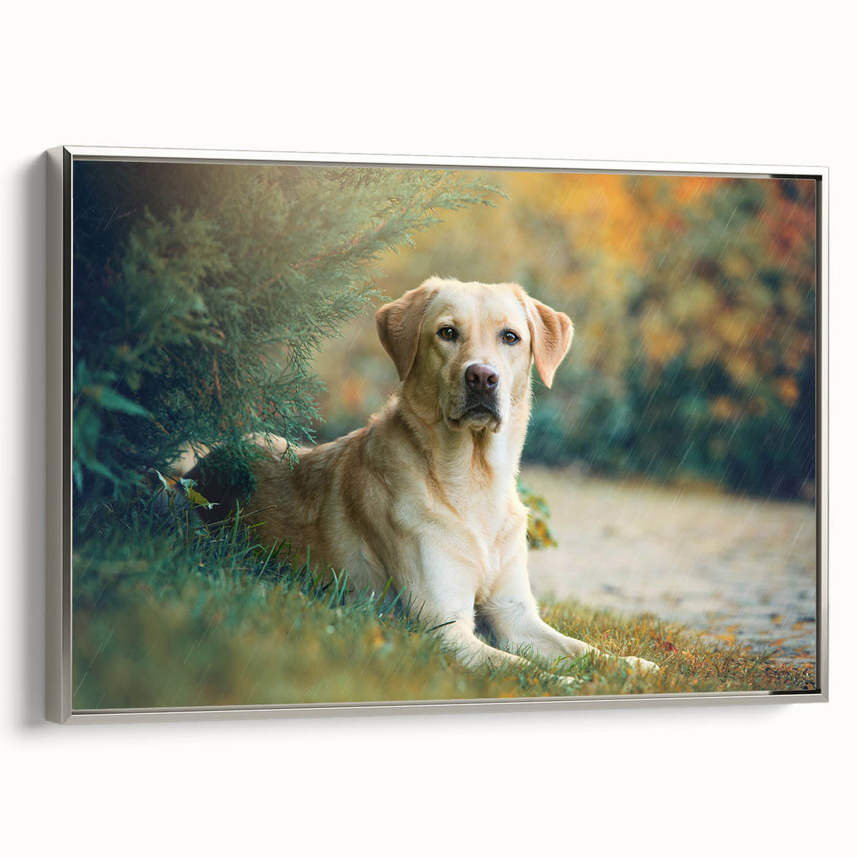 Framed canvas wall art showcasing a stunning wildlife dog design with silver accents, perfect for animal lovers, enhancing any home decor.