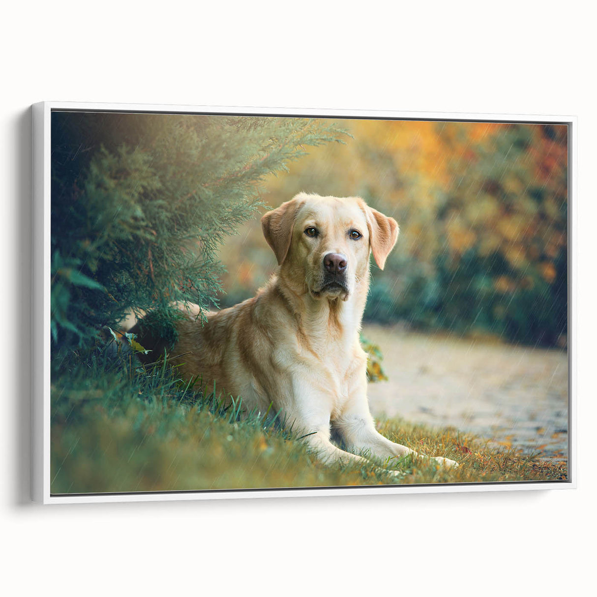 Framed wall art featuring a stylish design of wild dogs, showcasing vibrant colors and intricate details, perfect for animal lovers and home decor enthusiasts.