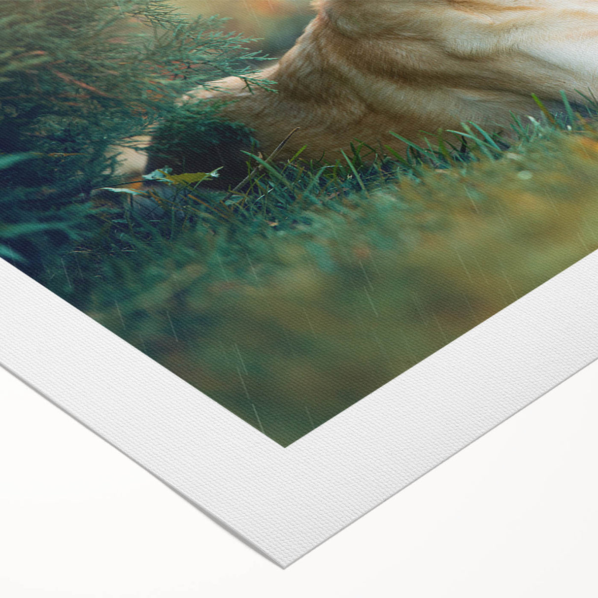 Rolled canvas artwork showcasing a vibrant dog design from the "Animals A Wild Life" collection, ideal for pet lovers seeking unique home decor.