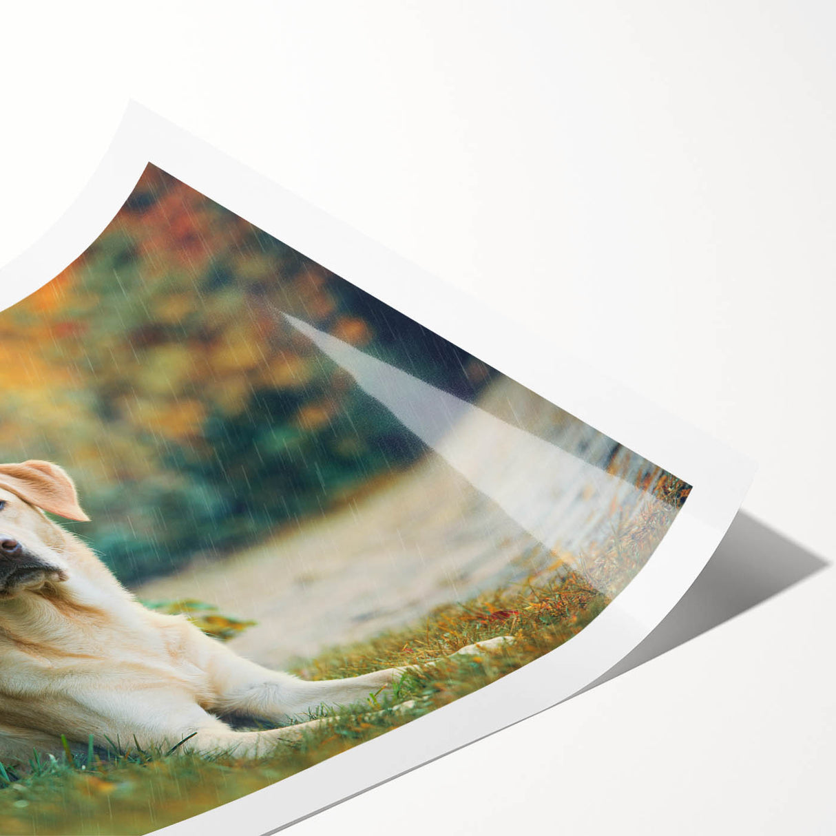 Colorful wall art print showcasing a playful dog design, featuring vibrant hues and detailed illustrations, rolled for easy display and shipping. Perfect for pet lovers and home decor enthusiasts.