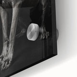 Majestic Great Dane Dog Wall Decor - Dog Art Prints & Gifts