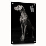 Majestic Great Dane Dog Wall Decor - Dog Art Prints & Gifts