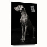 Majestic Great Dane Dog Wall Decor - Dog Art Prints & Gifts