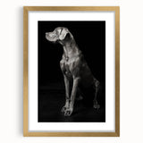 Majestic Great Dane Dog Wall Decor - Dog Art Prints & Gifts