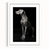 Majestic Great Dane Dog Wall Decor - Dog Art Prints & Gifts