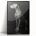 Majestic Great Dane Dog Wall Decor - Dog Art Prints & Gifts