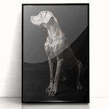 Majestic Great Dane Dog Wall Decor - Dog Art Prints & Gifts