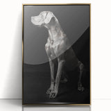 Majestic Great Dane Dog Wall Decor - Dog Art Prints & Gifts